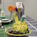 반여초등학교병설유치원 이미지