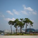 세종수상레저