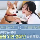 도그마루 노원점 이미지