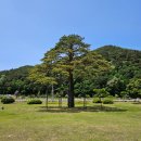 충북 보은군 속리산면 (속리산 세조길) 산행 이미지