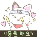 케쌤영어