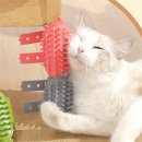 뽀송그루밍 이미지