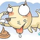 똥싼 강아지 이미지