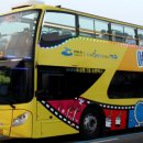 야간시티투어(금요일) 이미지