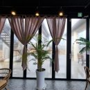 당리푸른 이미지