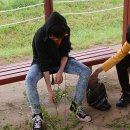 성안중학교 이미지