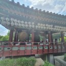용성승복 | 알고 보면 달리 보이니-강북구 8