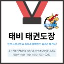 태비 태권도장 이미지