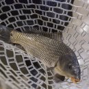 눈큰실내낚시터 이미지