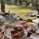 커피밥나무 이미지