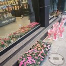 [어버이날 카네이션:내돈내산] 의정부 시내에 있는 다양한 색상 꽃다발, 제네럴 플라워
