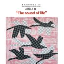 송정작은미술관 이미지