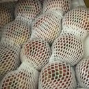 율하 부부 한의원 | 2. 나의 십이월 🎄💚