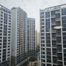 에코환경 | 서대문구 DMC에코자이 아파트 / 벨벳 커튼, 친환경 리넨 콤비 블라인드 시공 후기