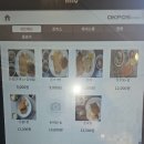 조은돈까스 | 부경대 경성대 대연동 장수왕 돈까스 내돈내산 후기