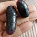 먹고또먹고 이미지