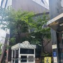 소망주차장약국 이미지