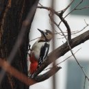 성산근린공원 이미지