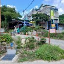 다래골펜션 | 대야산(문경/괴산, 931m)