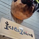 호시타코야끼 | 대전 탄방동 바삭한 타코야키 가게 호시 타코야끼 내돈내산 후기