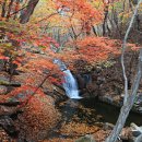 울주 가지산.. 용수골-쇠점골 단풍... 이미지