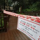 서리풀공원1-21 이미지