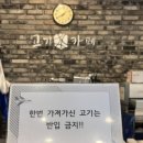 고기카페 정자점 이미지