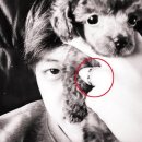 동호전자 이미지