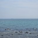 청사포로 이미지