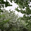 백곡천3 이미지