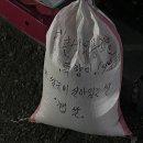 카이저 동물병원 | 3월 감만자