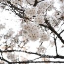 자유수호평화박물관주차장 이미지