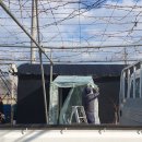 금국농장 이미지