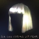 게이 클럽에서 일어난 최악의 총기난사, 시아(Sia) 그리고 댄스 신동 매디 지글러(Maddie Ziegler).Story 이미지