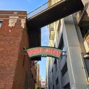 [성인,어르신] 스마트폰/키오스크 쉽게 따라하기(수 오후반) | 시애틀 워터프론트 오버룩워크 대관람차 야경 뚜벅이여행