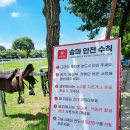 소프라승마클럽