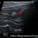 선부중앙동물의료센터 이미지