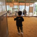 차미곤노래교실 | 경기도 용인 가볼만한곳 아이와 용인곤충테마파크