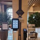 비고리조트 4 이미지