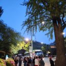 용산삽교곱창 네이버블로그