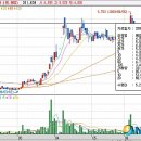 (주)웨스텍 코리아 뉴시스