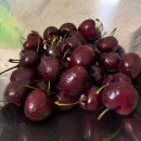 헬스 스쿨 | 1. 결혼준비와 이사준비로 바쁜 백수 일상, 피자스쿨 오지치즈포테이토피자 조합 솔직후기