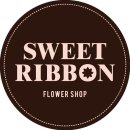 반려식물 다육토분 이미지