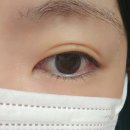 송파 속눈썹 맞춤 속눈썹펌 전문점 샬롱드반