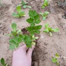 와부농업협동조합경제사업소 이미지