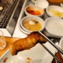 소맥타고 이미지