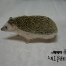 스튜디오 해치 이미지
