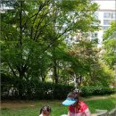 숲의 마음 이미지