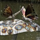 매머드익스프레스 안양관평사거리점 이미지