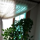 희망찬농장 이미지